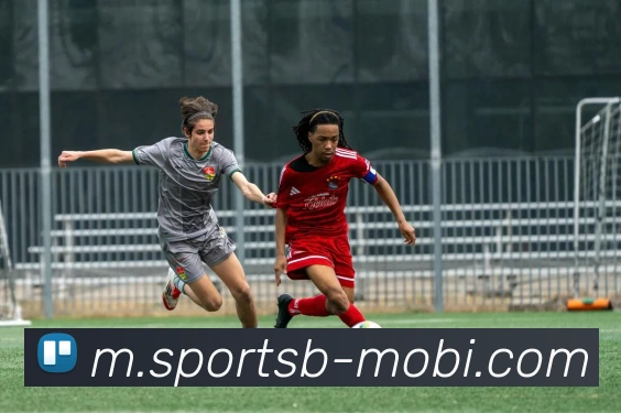 B体育APP 封面图